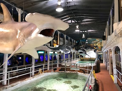 Key West Aquarium