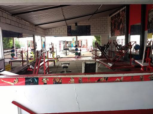 The gym 300 - Thumbnail