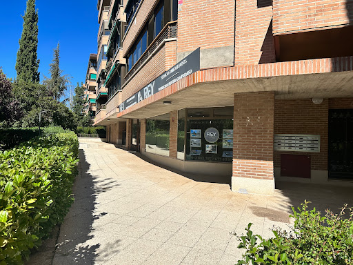 REY SERVICIOS INMOBILIARIOS