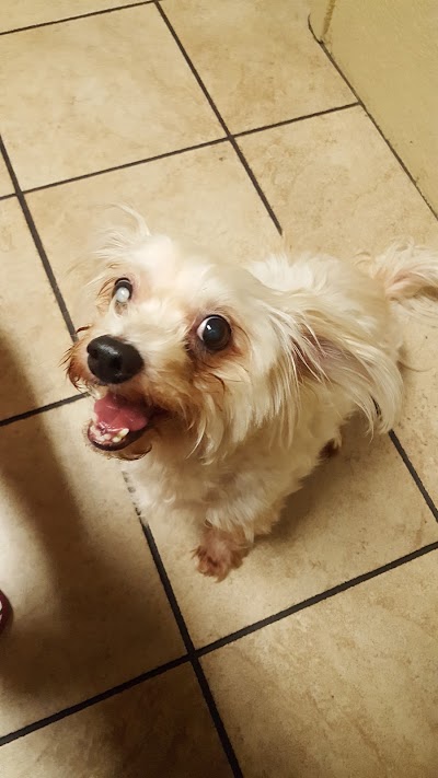 Photos of VCA Orange City Animal Hospital