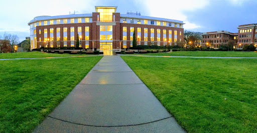Library Quad - Visual