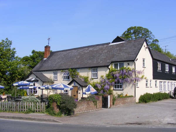 The Cricketers