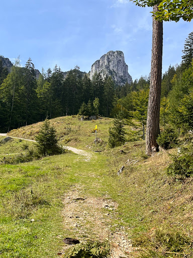 Brander Alm - Thumbnail