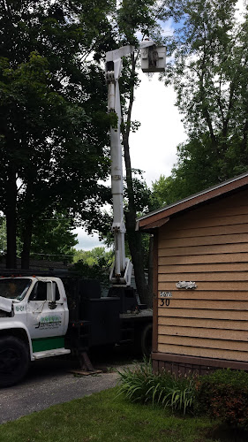 Jaruzel Lawn and Tree Service