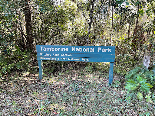 Witches Falls walking track - Thumbnail