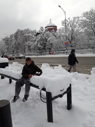 Zarnegar Park