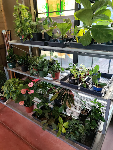 The Nurserie Farm & Garden Market - Thumbnail