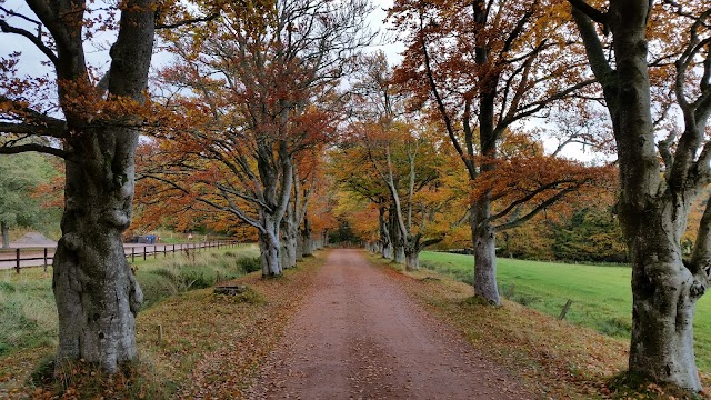 Craigievar Castle