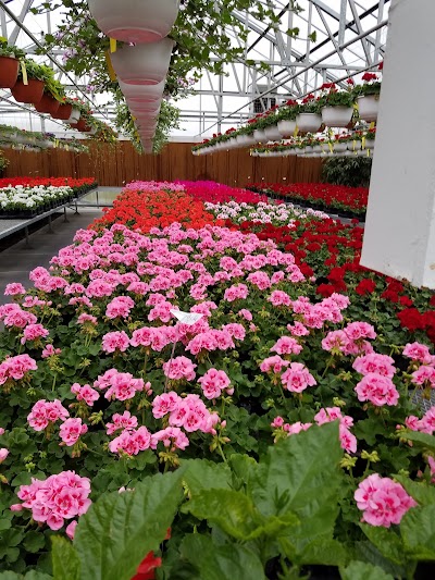 Williams Flower Co & Greenhouses