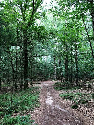 Randerode Park - Visual
