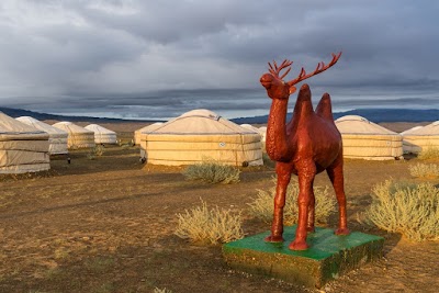 Photos of Discover Mongolia Travel