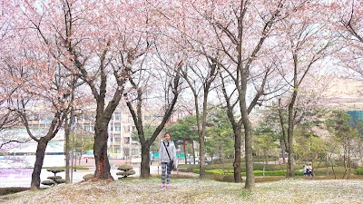 Photos of 목원대