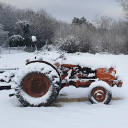 Photo n°16 de Le Bosquet des cocottes à Sers (Ferme)