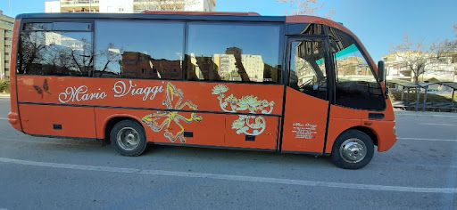Mario Viaggi - Visual