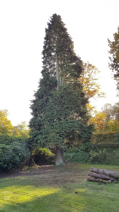 Photos of Engelsholm Castle Park