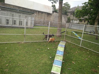 Photos of PetCare69