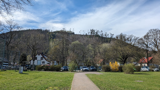 Kienberg Arena Sportplatz Luisenthal - Thumbnail