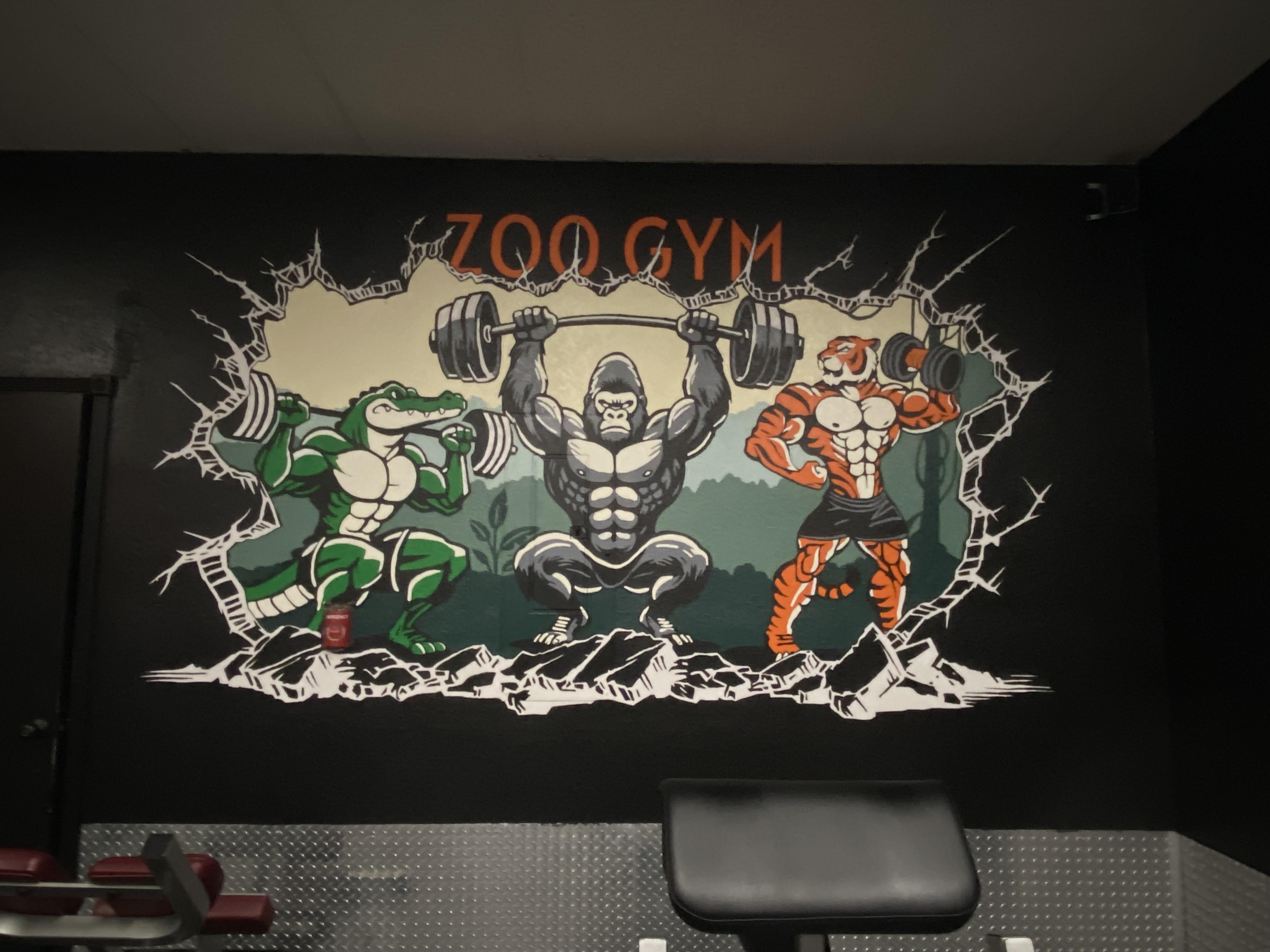 The Zoo Health Club photo 7