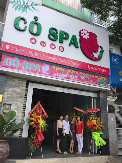 Cỏ Spa, Hồ Chí Minh, Vietnam