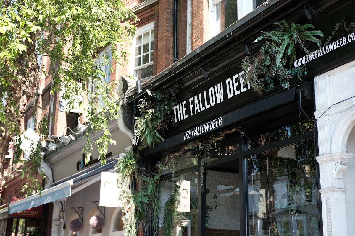 The Fallow Deer