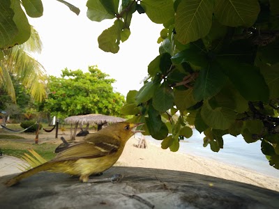 Photos of Calabash Bight Getaway