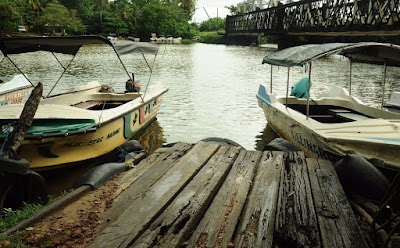 Photos of Madol Duwa Boat Ride (Paddling Boat & Mortor Boat)