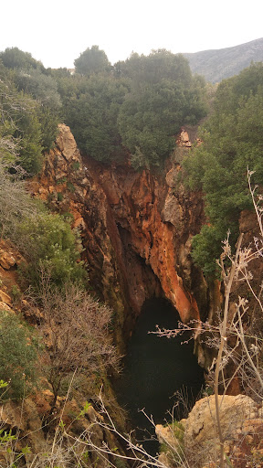 Clot del Lírio