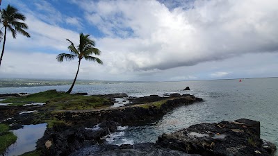 Grand Naniloa Hotel Hilo - a DoubleTree by Hilton