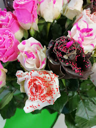 Photo n°8 de Eau 1000 Fleurs à Vierzon (Fleuriste)