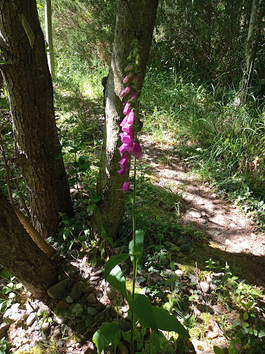 East Mill Road Caravan Site - Thumbnail