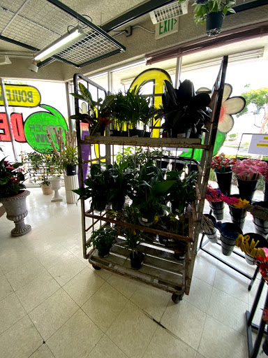 Sunfresh Flower Mart - Thumbnail