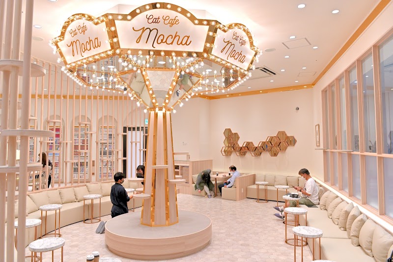 猫カフェMOCHA（モカ）イオンモール幕張新都心店