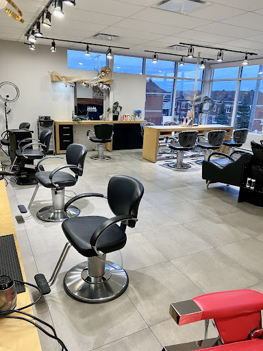 Salon Pur - Visual