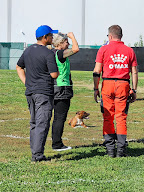 Educ. Coaching Canin Aux Mill's Poils à Saint-Martin-sur-Ocre