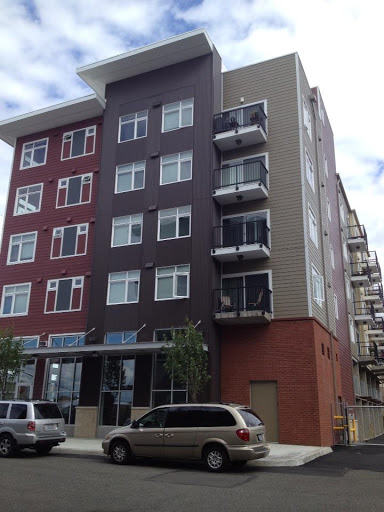 Alpine Siding - Visual