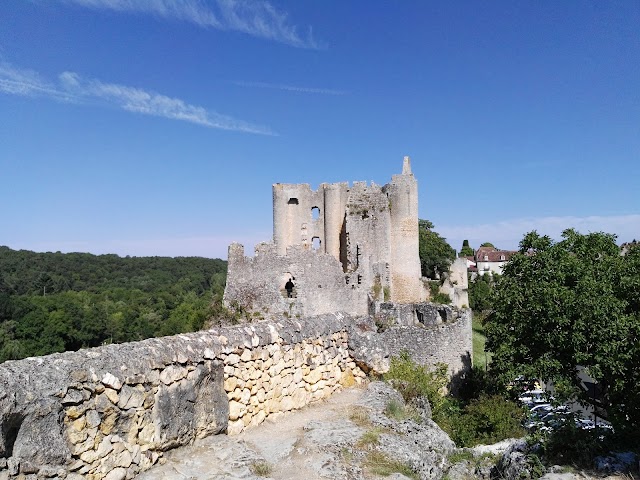 Forteresse d'Angles-sur-l'Anglin