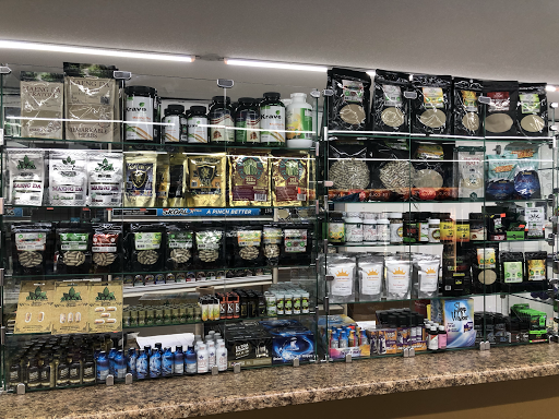 Pine Mini Mart - Visual
