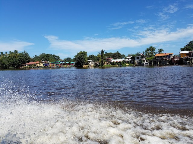 Tortuguero