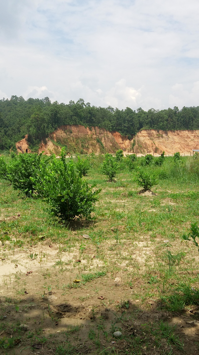 Photos of Panthee Agro Farm Pvt Ltd.