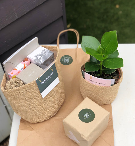 Hello Botanical - Visual