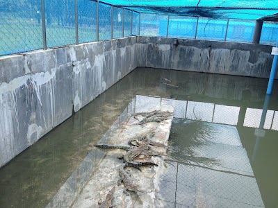 Photos of Karamjol
