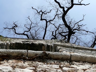 Poggio della Quercia di Sasso (TN)