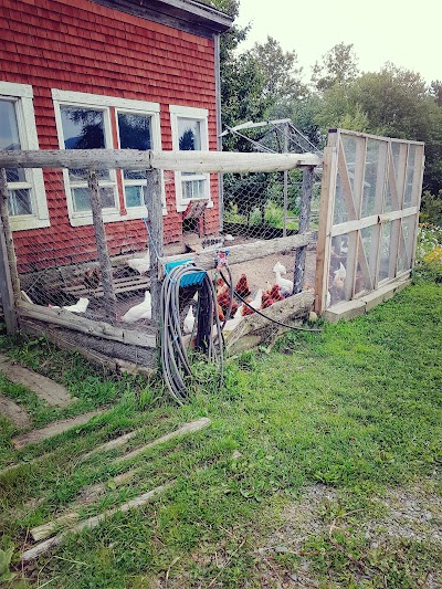 lodging