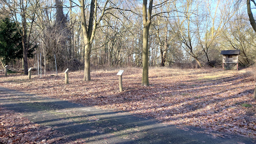 Allee der Bäume des Jahres - Thumbnail