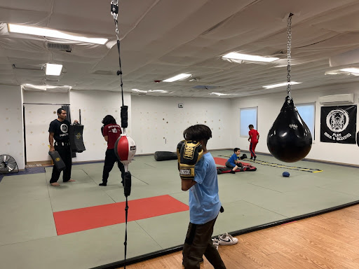 Pure Mma & Boxing - Thumbnail