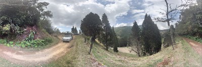 Photos of Bosque Municipal de Naranjo