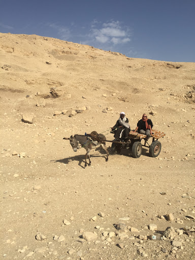 Drivers in Egypt
