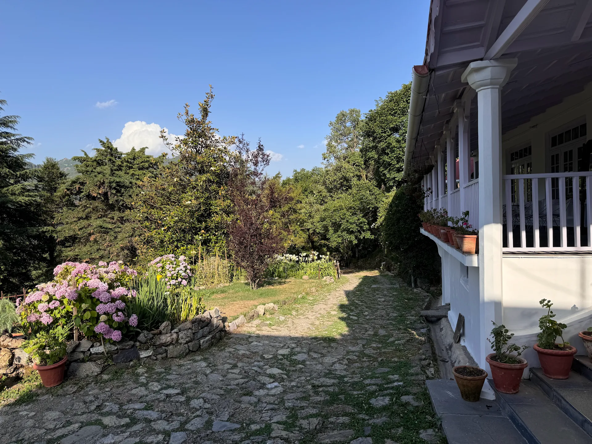 Vienna Lodge
