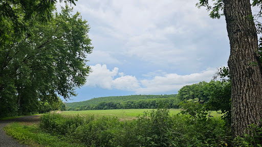 McDade Trail - Thumbnail