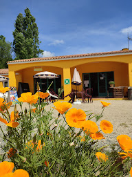 Photo n°3 de Camping Port Maubert à Saint-Fort-sur-Gironde (Terrain de camping)